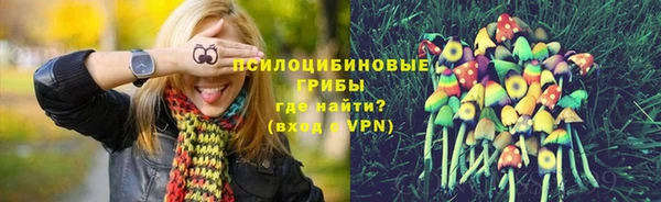 первитин Осташков
