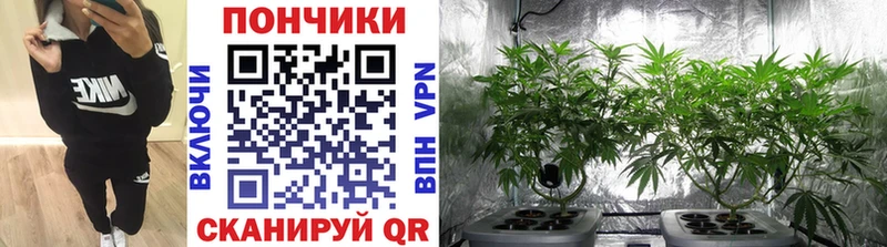 Канабис планчик  магазин  наркотиков  Межгорье 